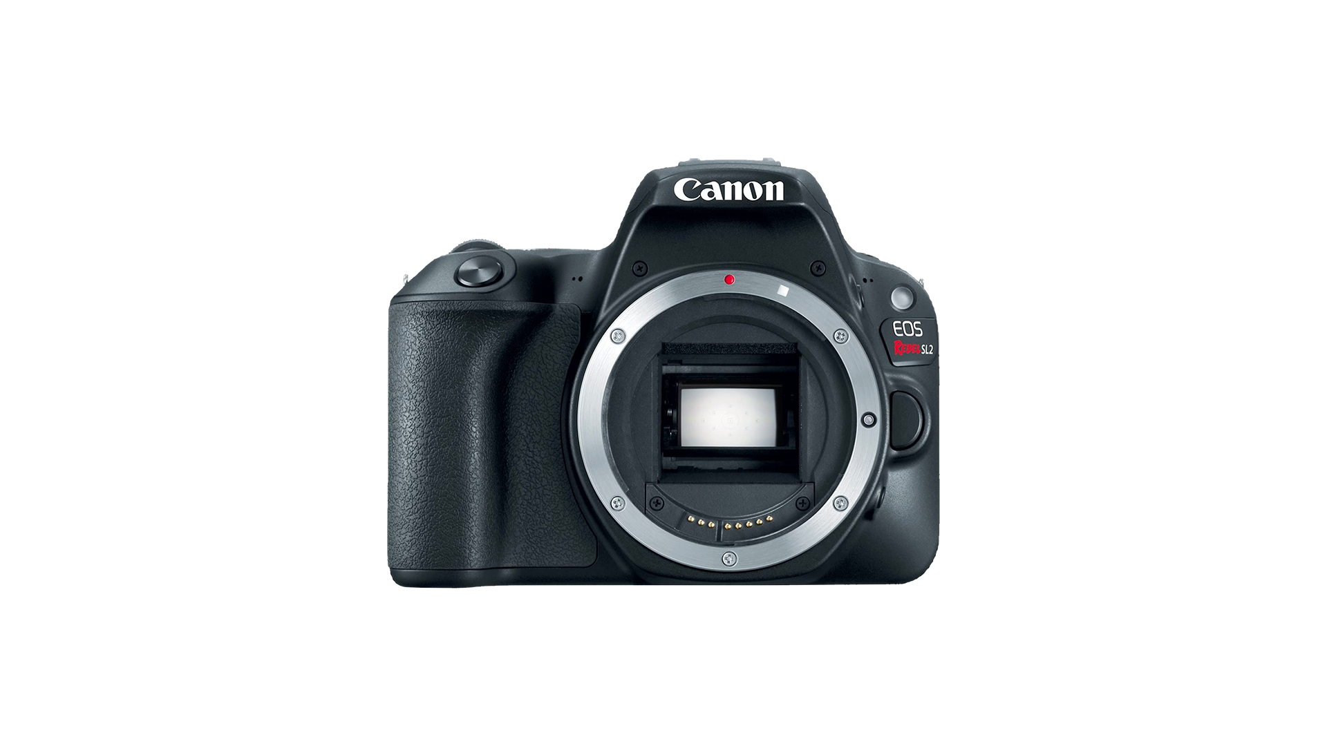 Canon EOS Rebel SL2 Video Recording Limits Canon EOS Rebel SL2 Video Recording Limits