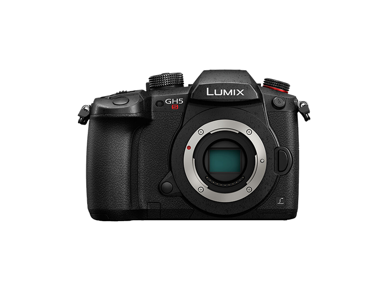 Dinkarville Sandy kleuring Panasonic LUMIX GH5S Video Recording Limits