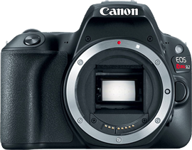 Canon EOS Rebel SL2 (EOS 200D)