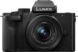 Panasonic LUMIX G100D (DC-G100D, DC-G100DKK, DC-G100DVK)