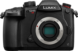 Panasonic LUMIX GH5S (DC-GH5S)